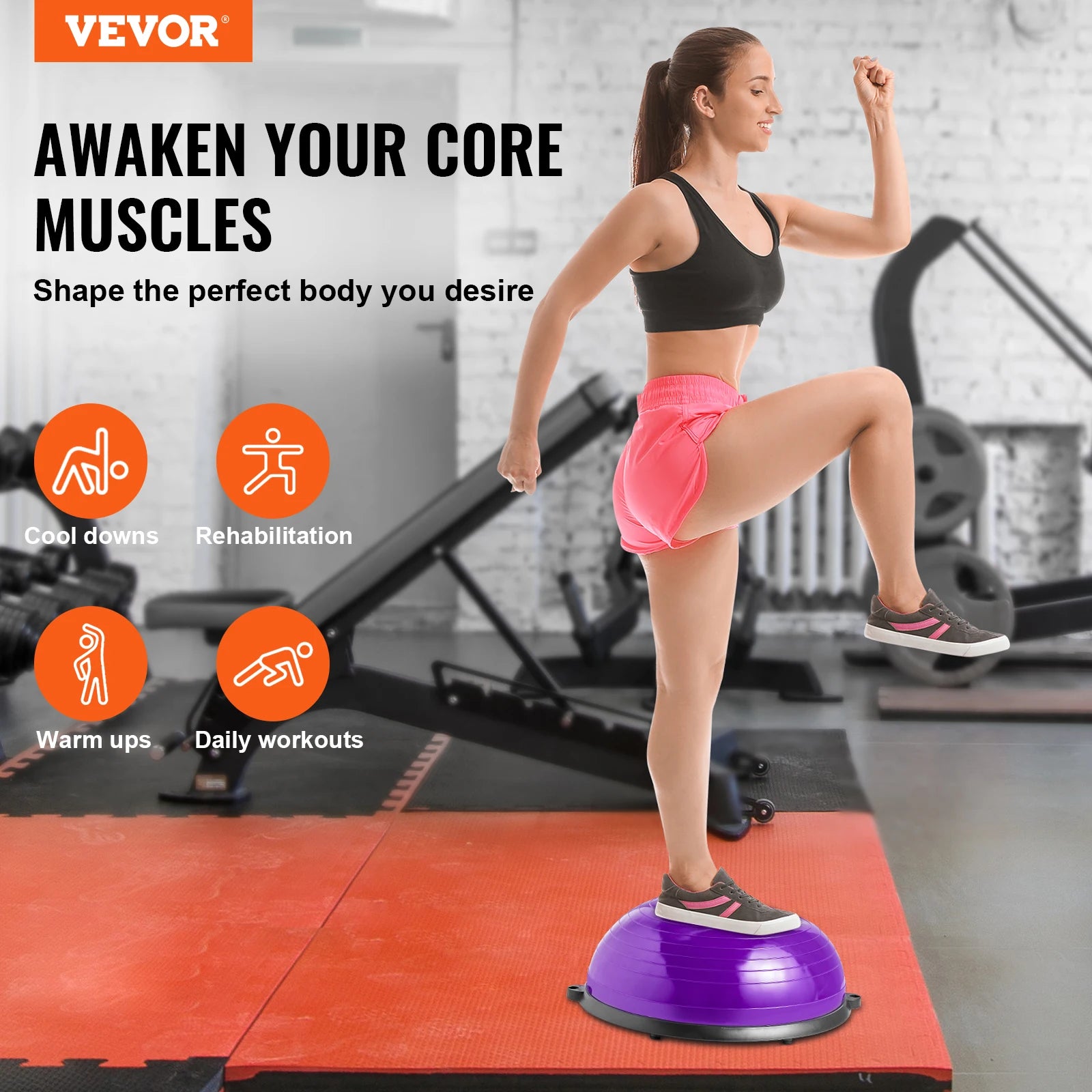 Trainer Stability Ball