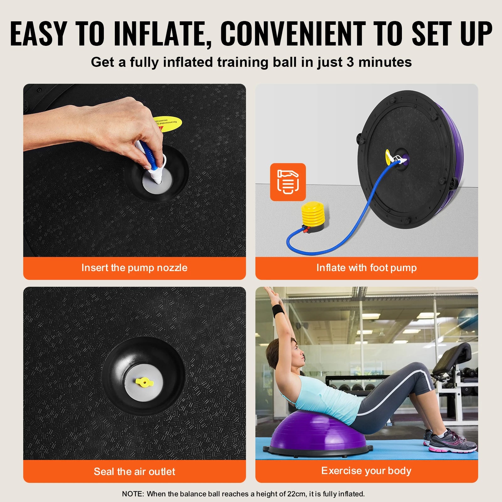 Trainer Stability Ball