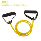 Resistance Bands With Handles For Home Gym